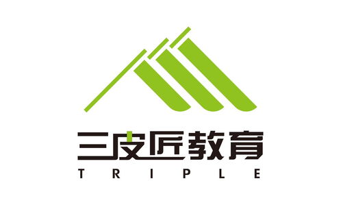 三皮匠教育咨询 扎根羊城，服务陕西三协，共筑职业发展新桥梁