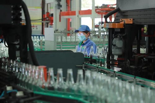 在乡村振兴的田野上 宝鸡育才与陕西三协如何通过发展新兴产业推动劳动力转移